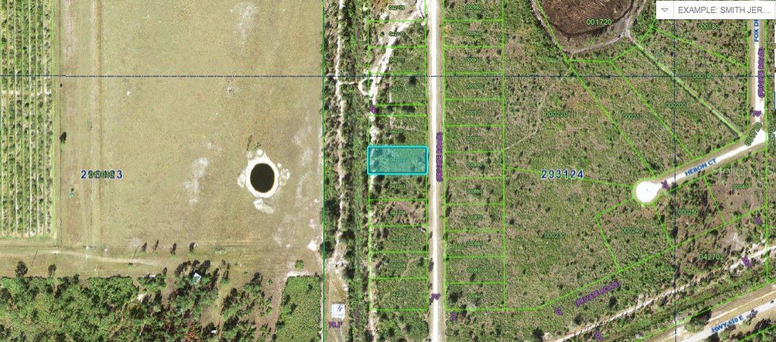 1251 Pinnata Dr Property Photo