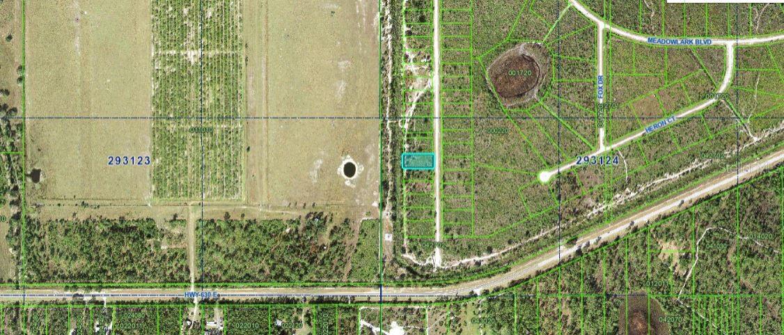 1251 Pinnata Dr Property Photo 2