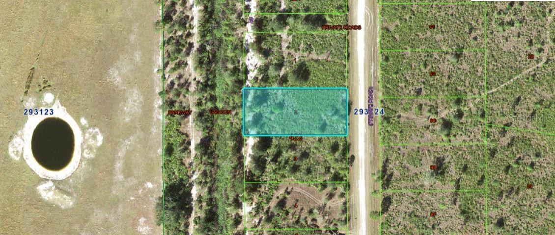 1251 Pinnata Dr Property Photo 3