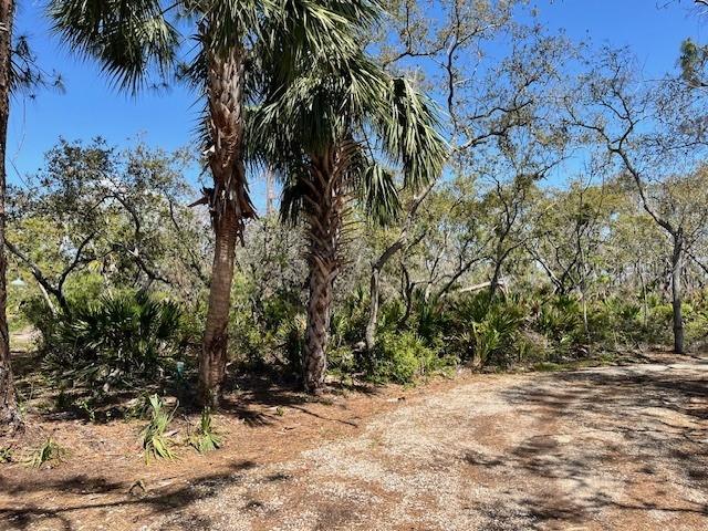 12190 Anchor Cove Dr Property Photo 4