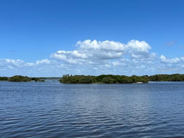 12190 Anchor Cove Dr Property Photo 12