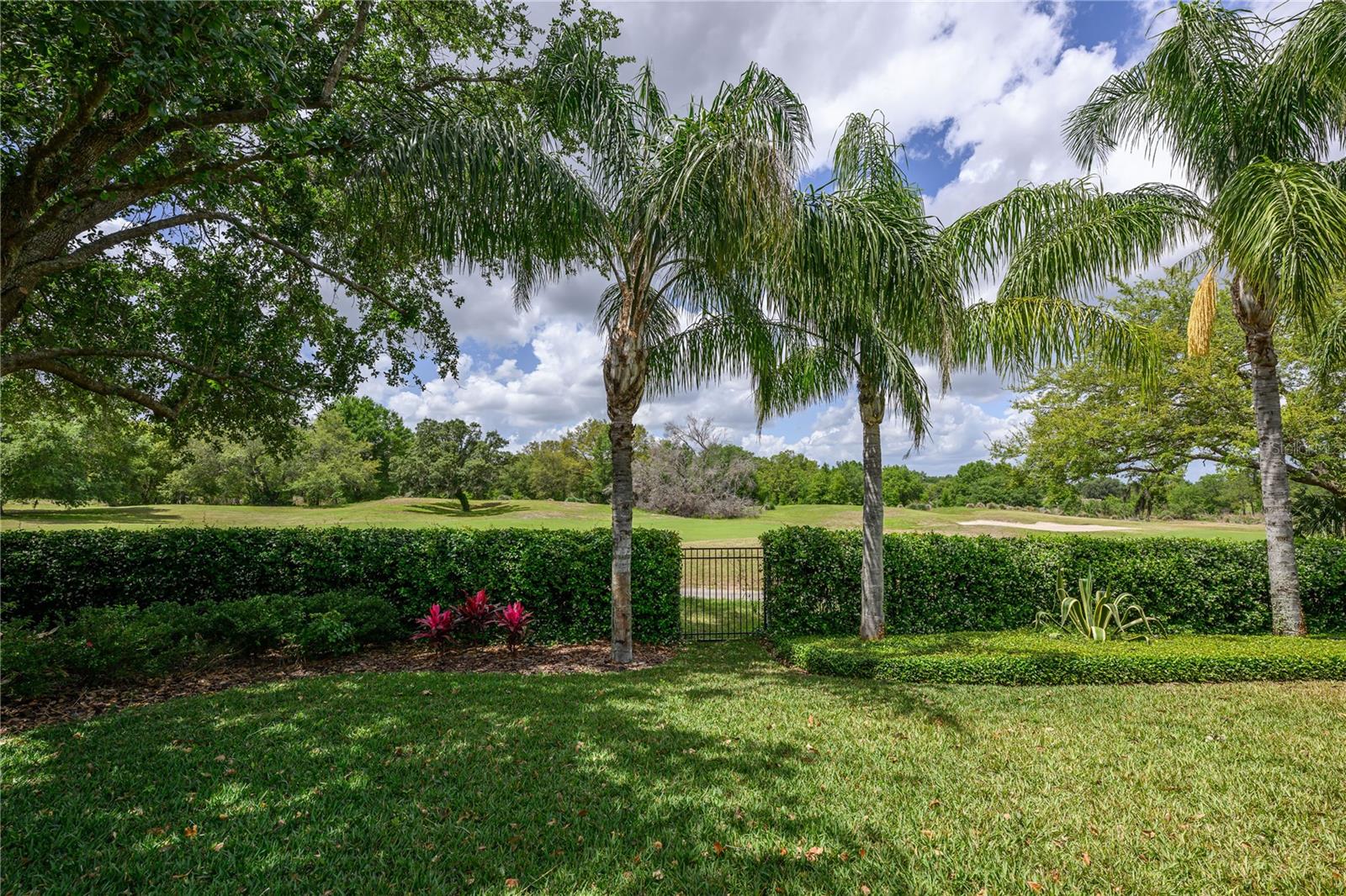 25519 Hawks Run Ln Property Photo 60