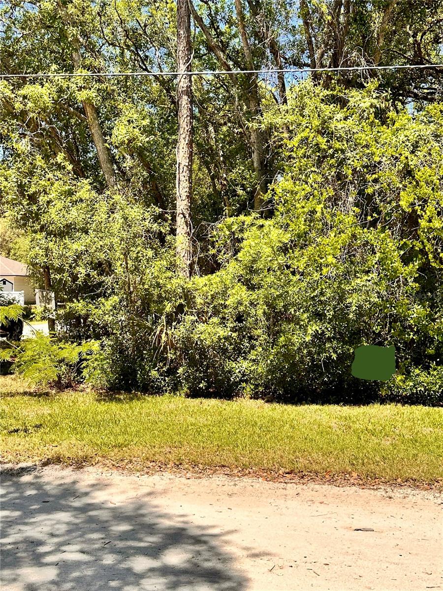 12th St Property Photo
