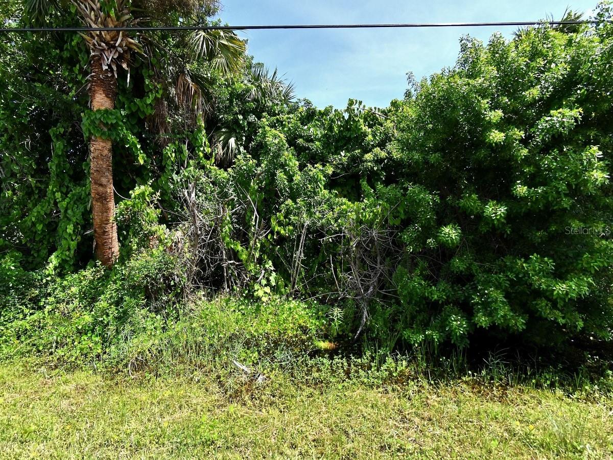 Bamboo Dr Property Photo