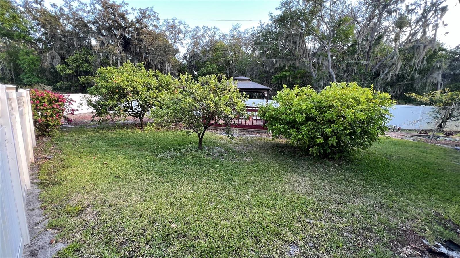 7730 Broken Arrow Trl Property Photo 48