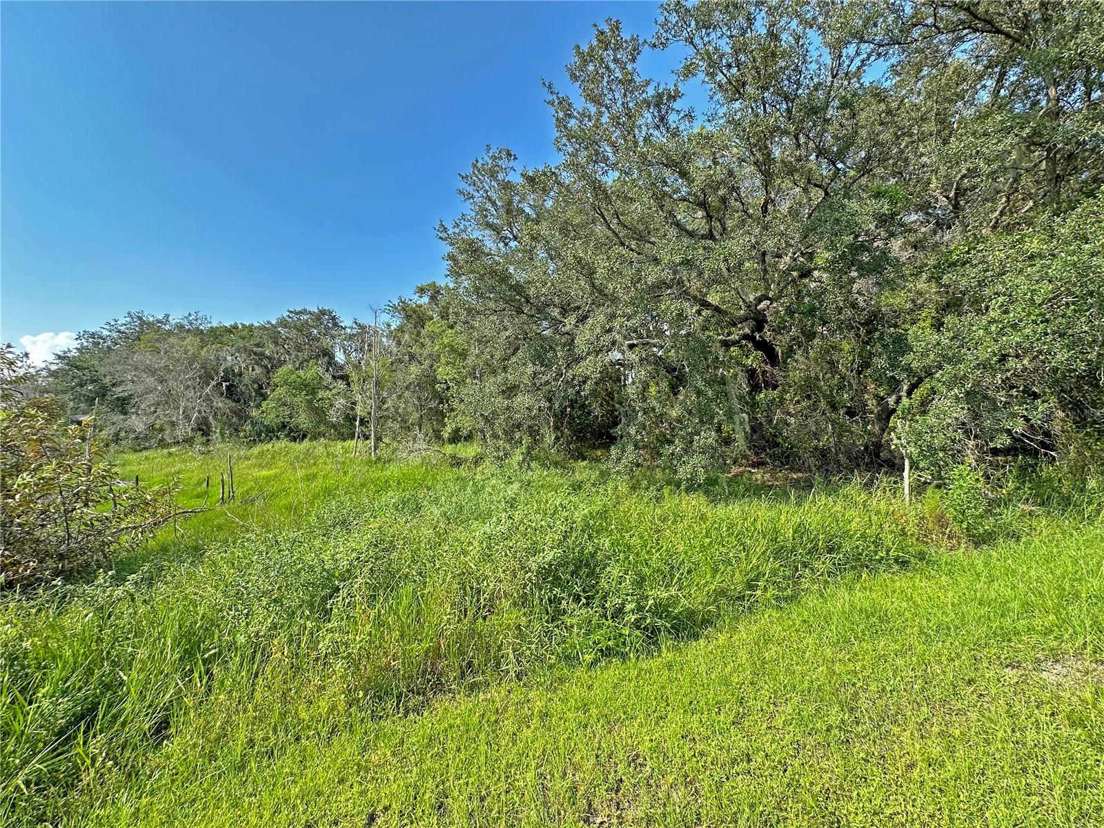 1100 Courtland Blvd Property Photo 38
