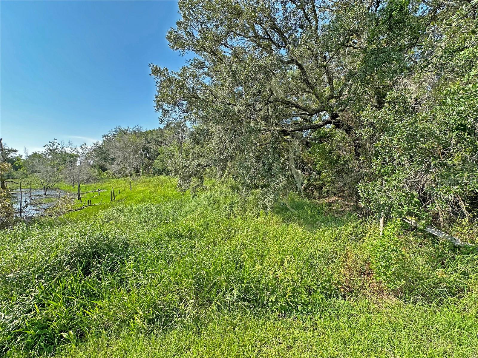1100 Courtland Blvd Property Photo 39