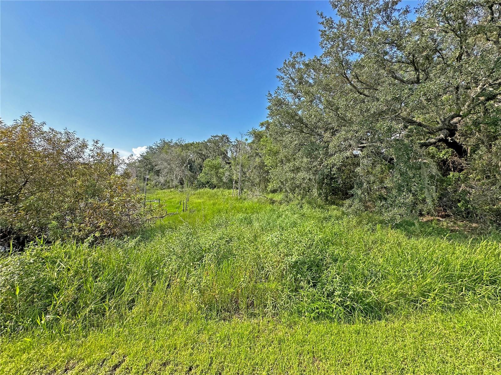 1100 Courtland Blvd Property Photo 40