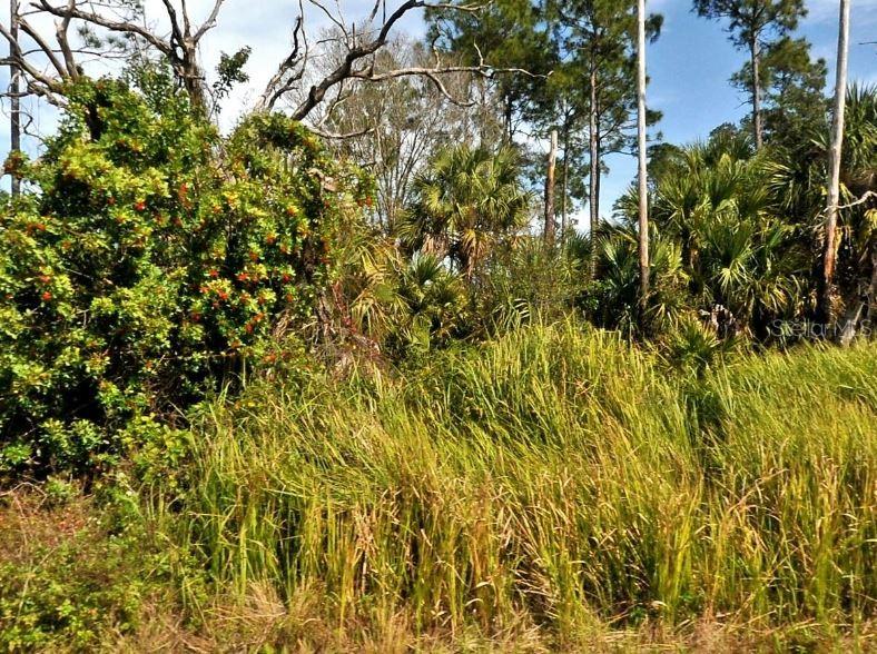 FIREBIRD RD Property Photo 1