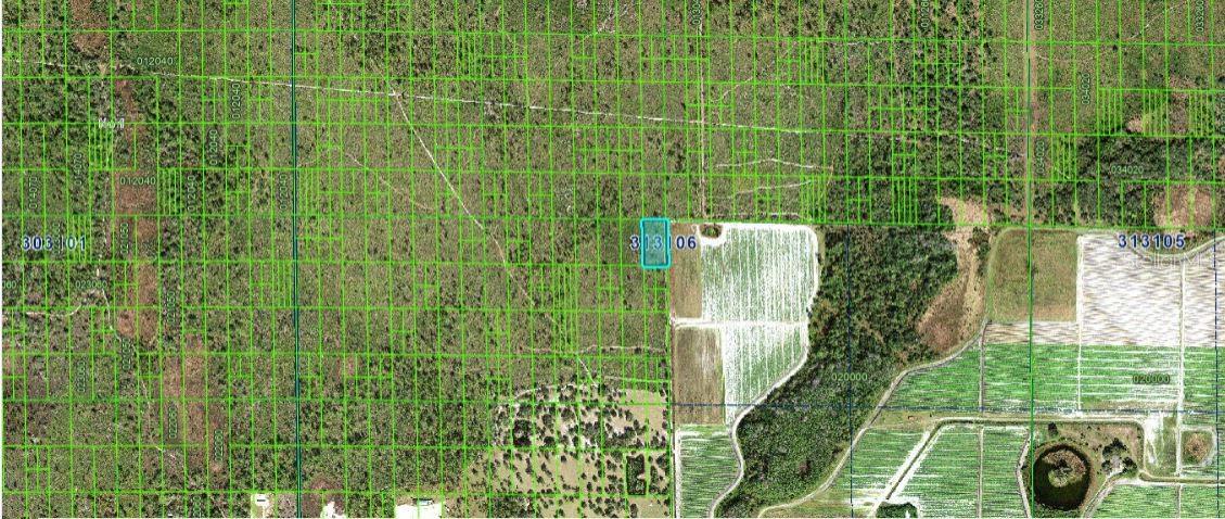 Grape Hammock Rd Property Photo 3