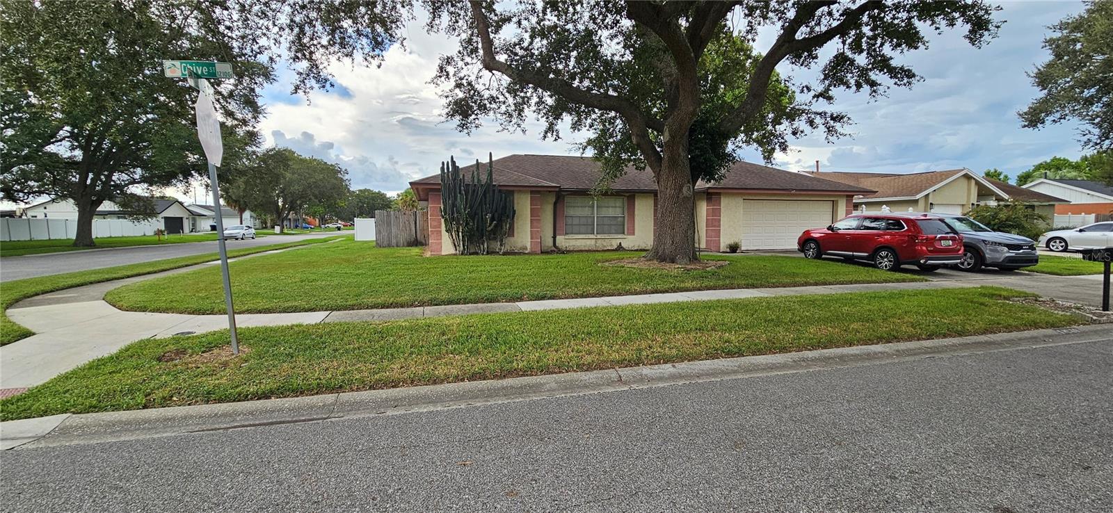 12144 Chive St Property Photo