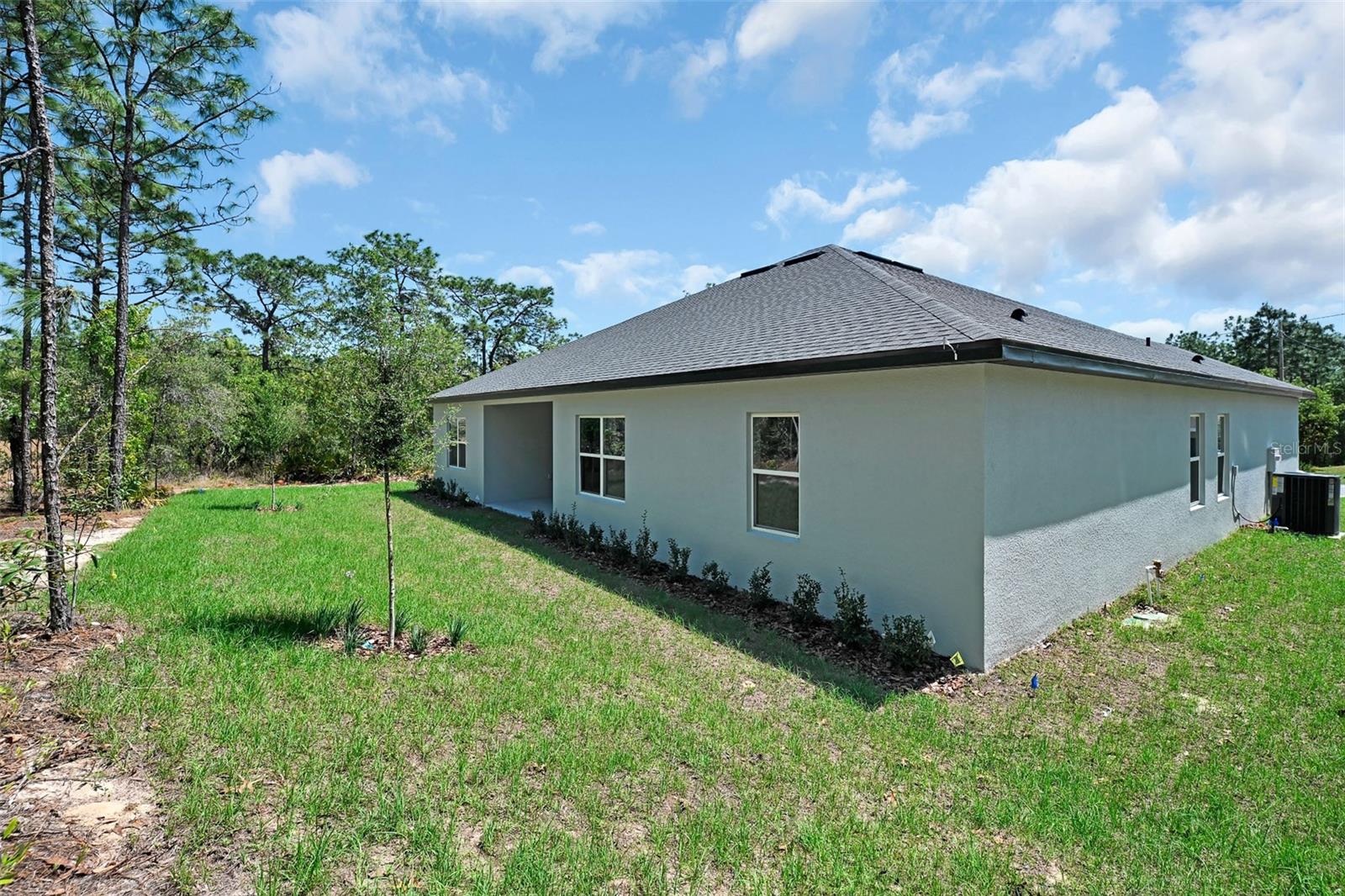 28 Whitewood St Property Photo 32