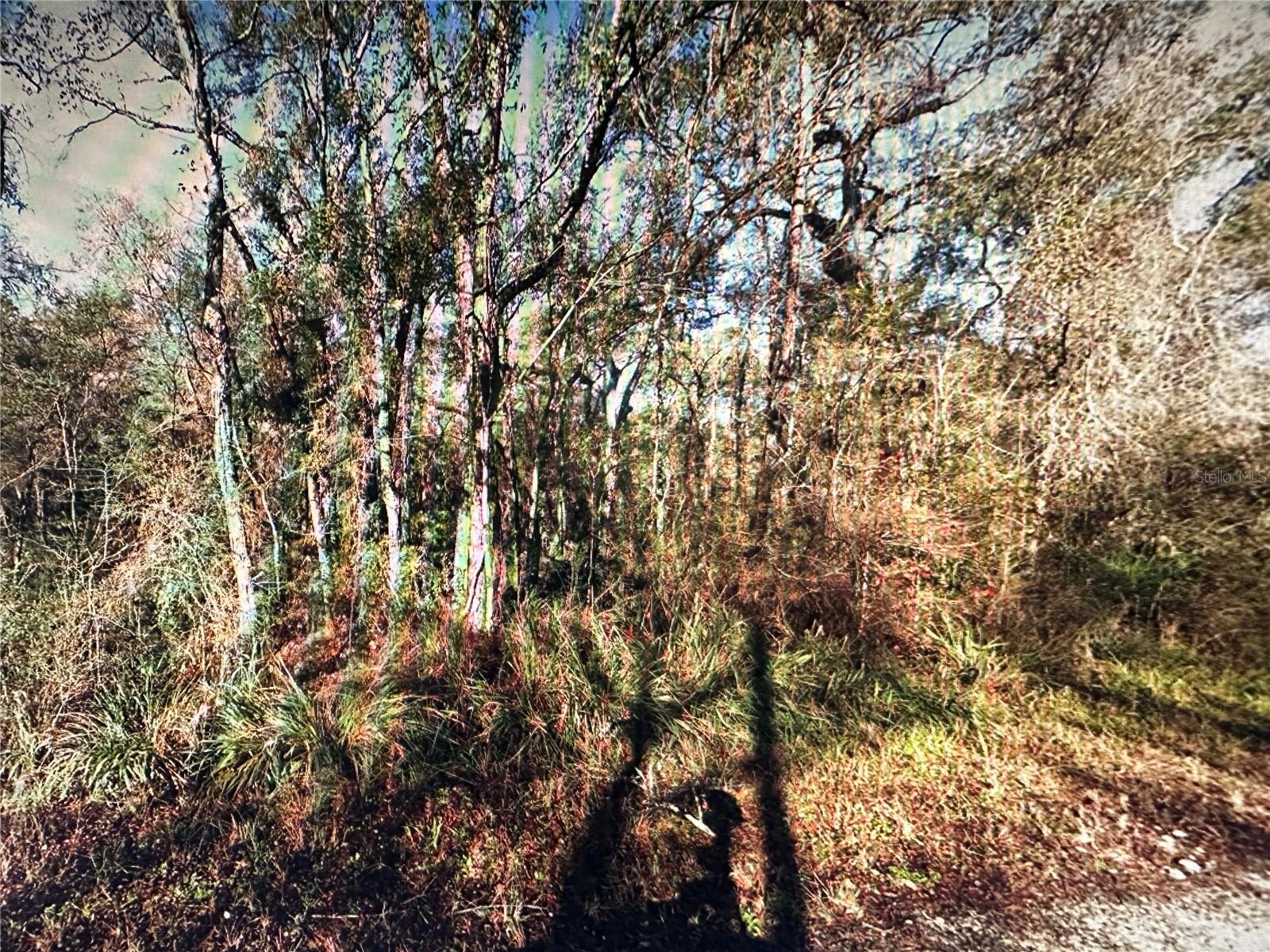 Table Rock Dr Property Photo 2