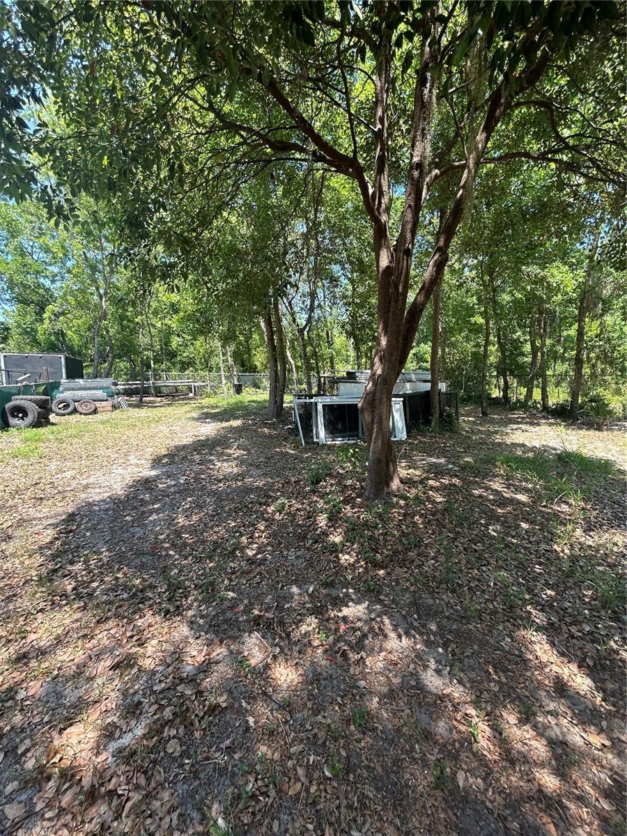 1735 Grayson Dr Property Photo 3