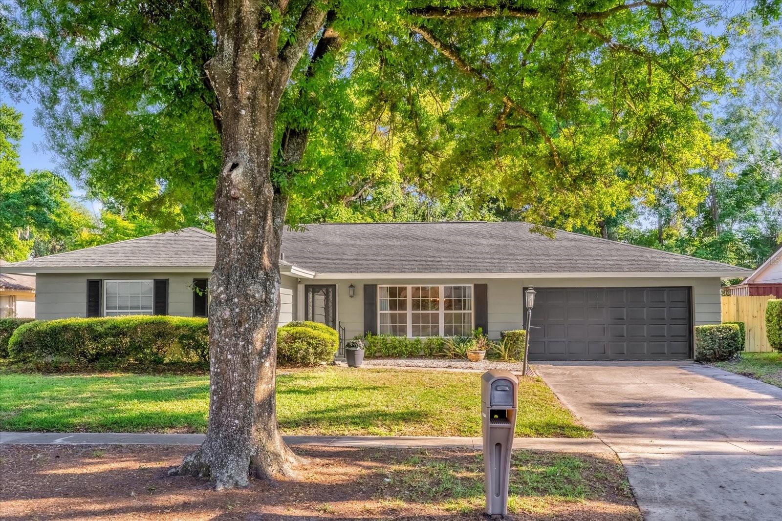 Lake George Elem Real Estate Listings Main Image
