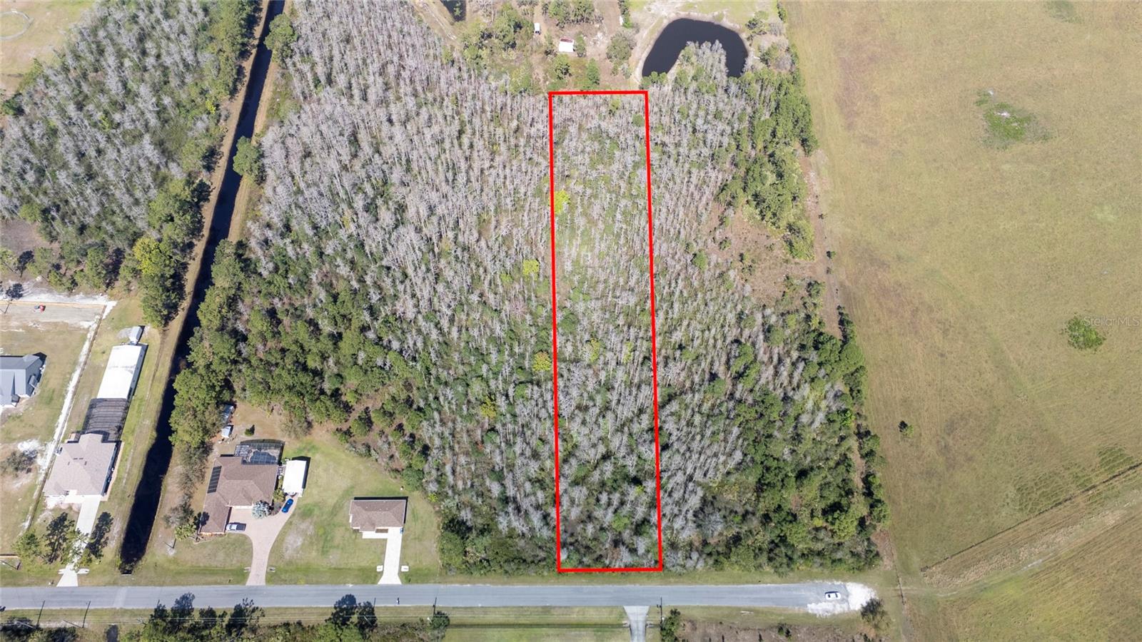 Sabal St Property Photo 6