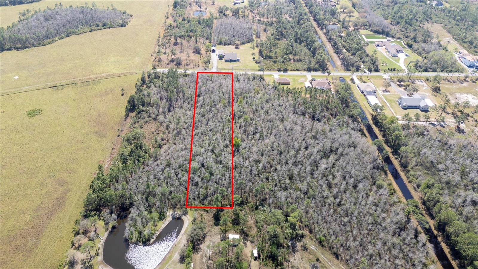 Sabal St Property Photo 10