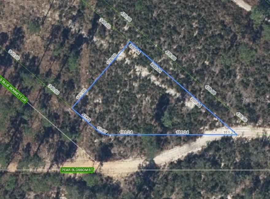 6115 Pear Blossom St Property Photo 1