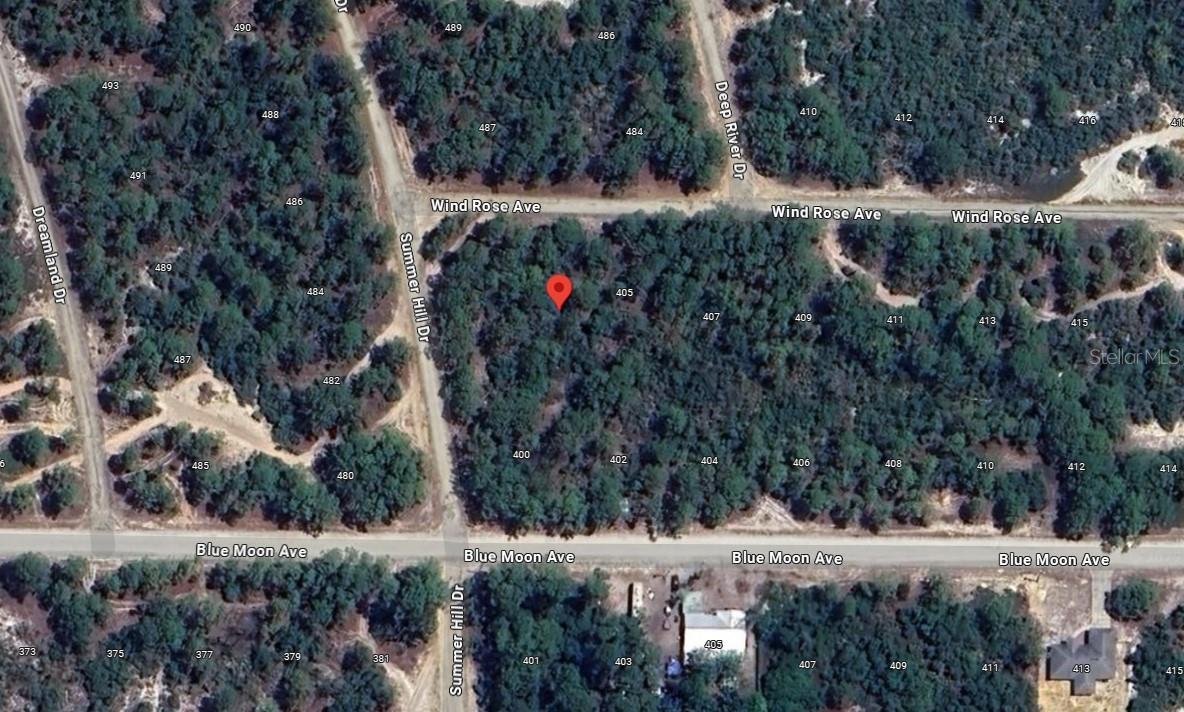 401 WIND ROSE AVE Property Photo 1