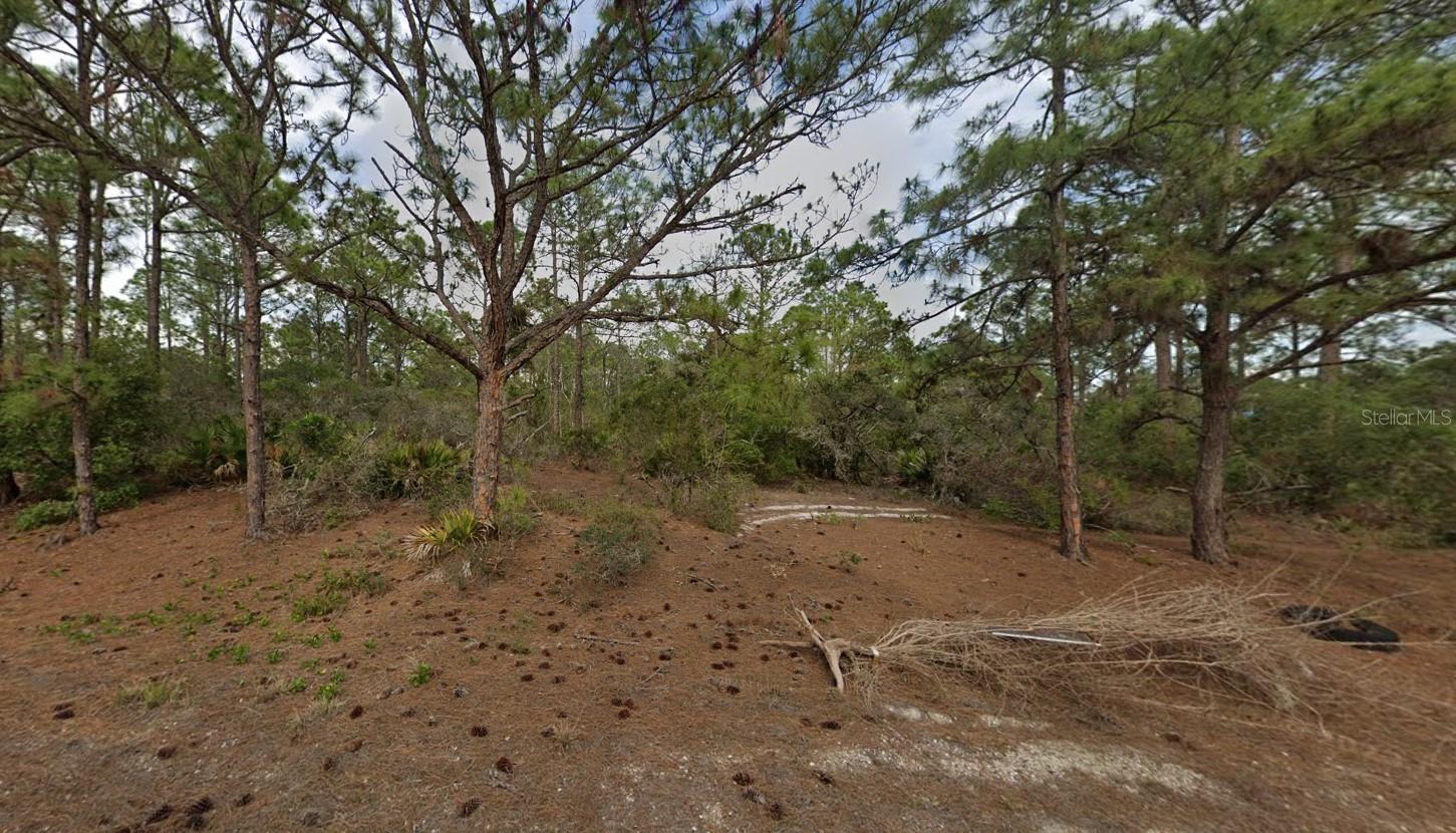 401 Wind Rose Ave Property Photo 7