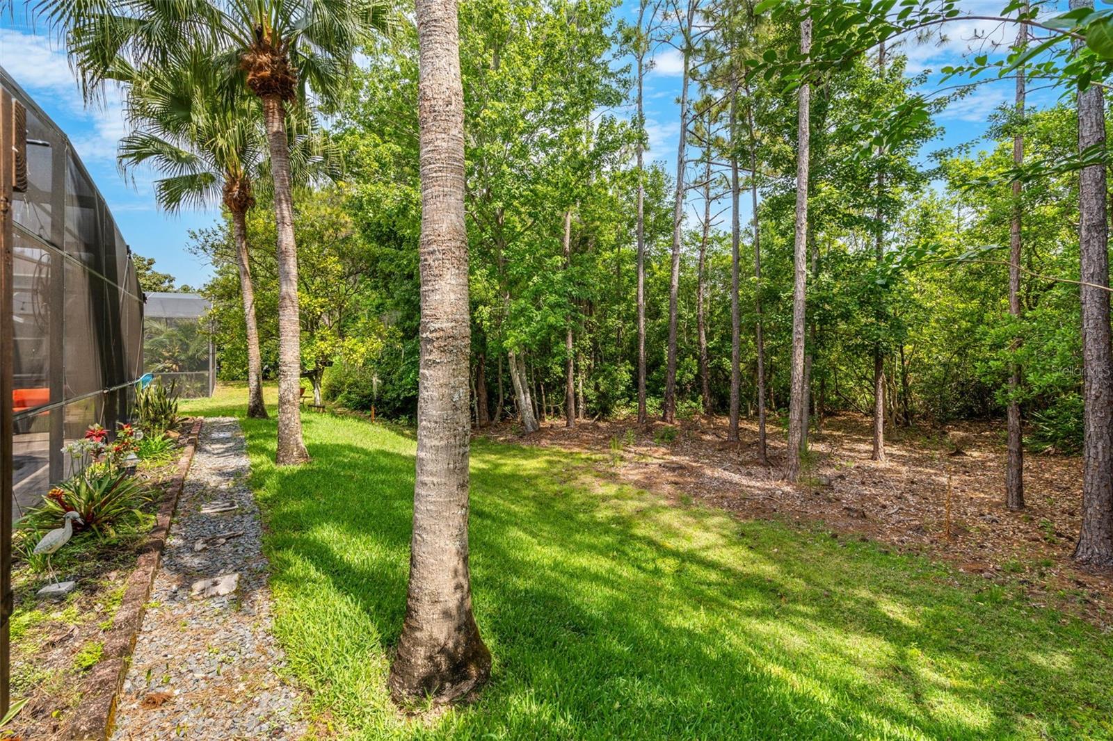 555 Carey Way Property Photo 54