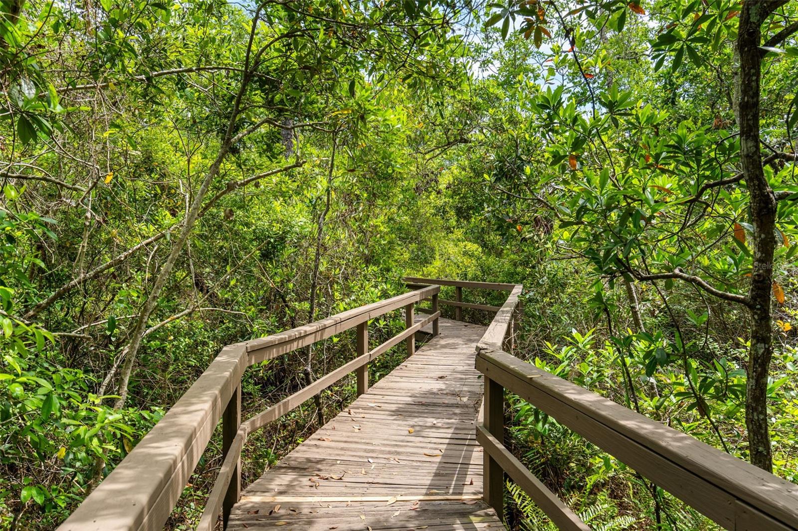 555 Carey Way Property Photo 56