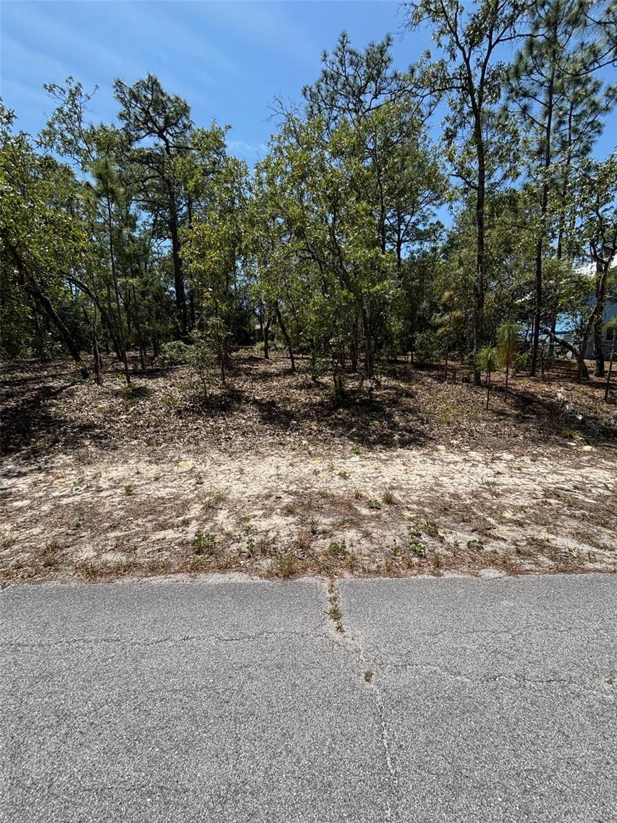 9572 N Akola Way Property Photo