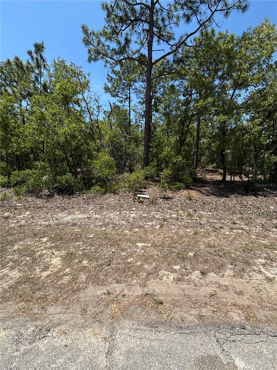 9898 N Lathyrus Ter Property Photo