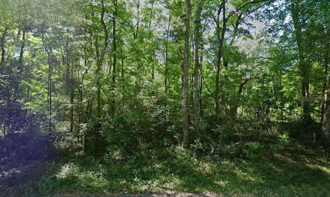 288th St Property Photo