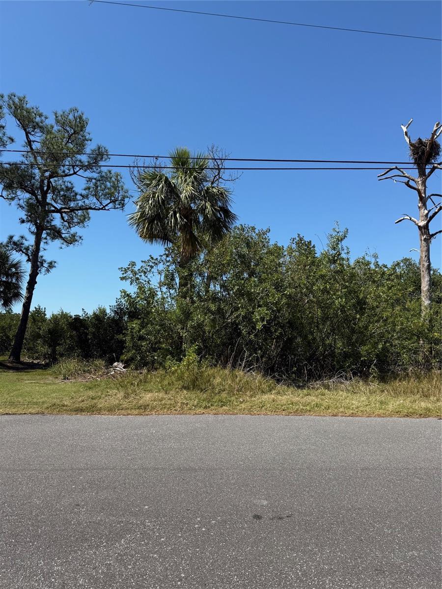Sea Breeze Dr Property Photo 2