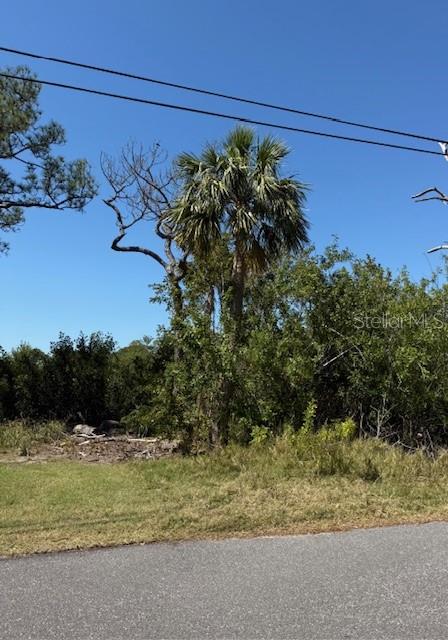 Sea Breeze Dr Property Photo 3