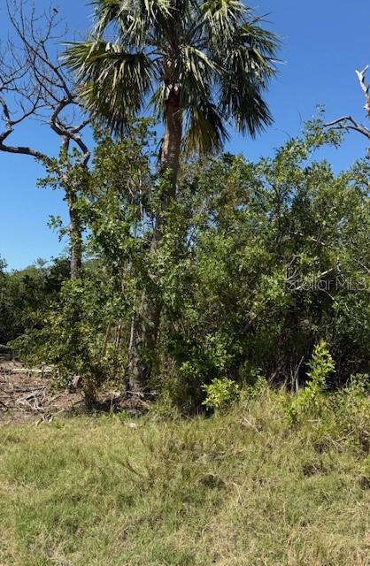 Sea Breeze Dr Property Photo 4