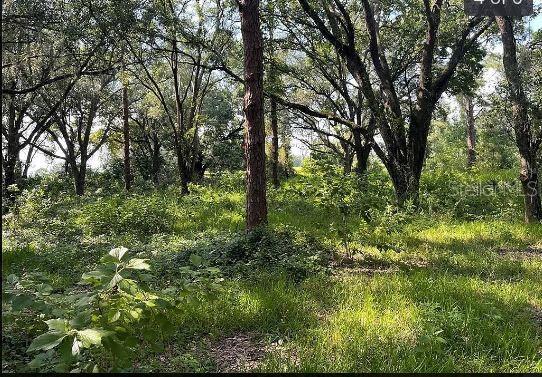 Sr-19 Property Photo 10