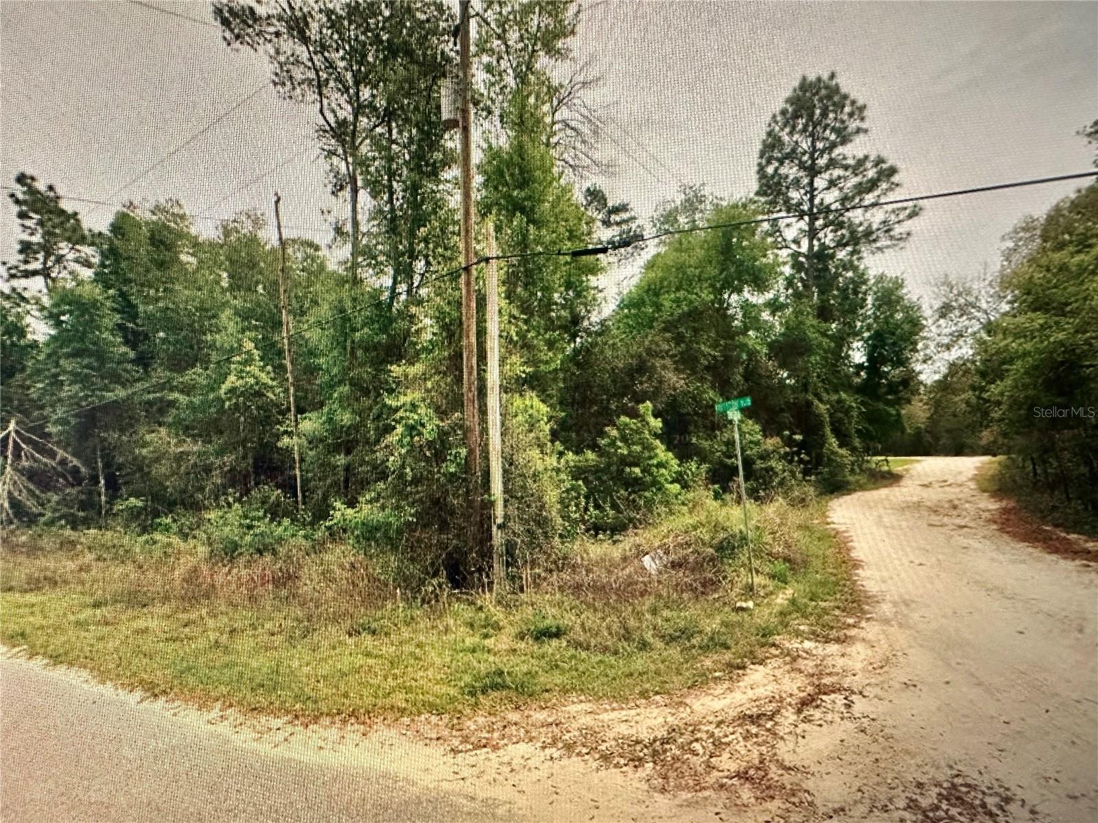 219 Kingston Blvd Property Photo 8