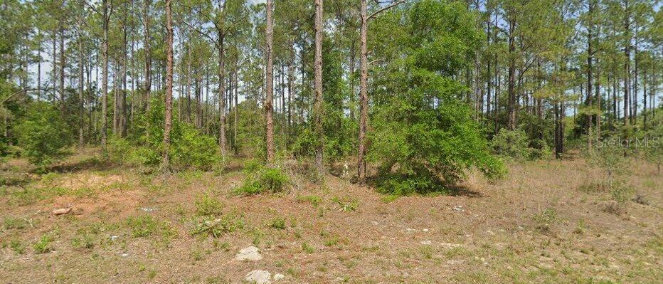 10940 N Letterwood Way Property Photo