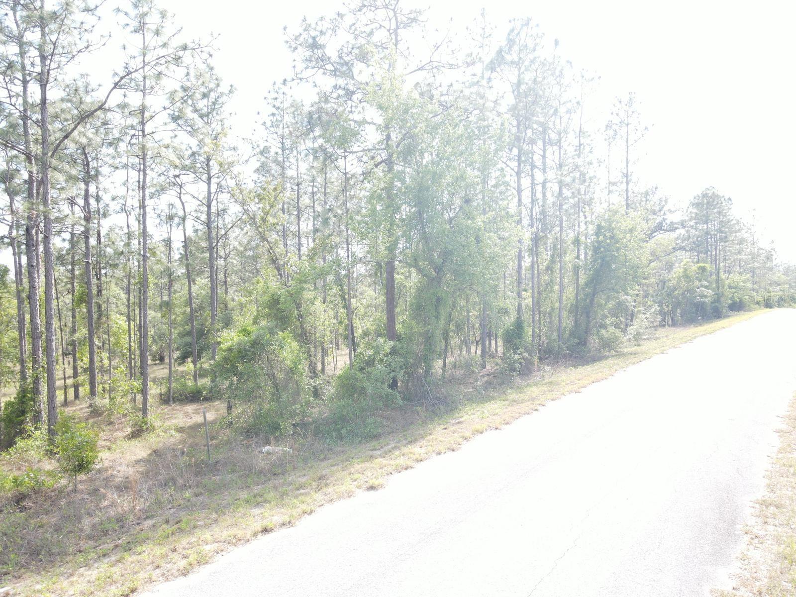 Lot 20 Nw Shamrock Ave Property Photo