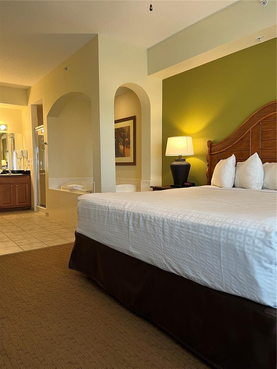 8101 Resort Village Dr #3909 Property Photo 12