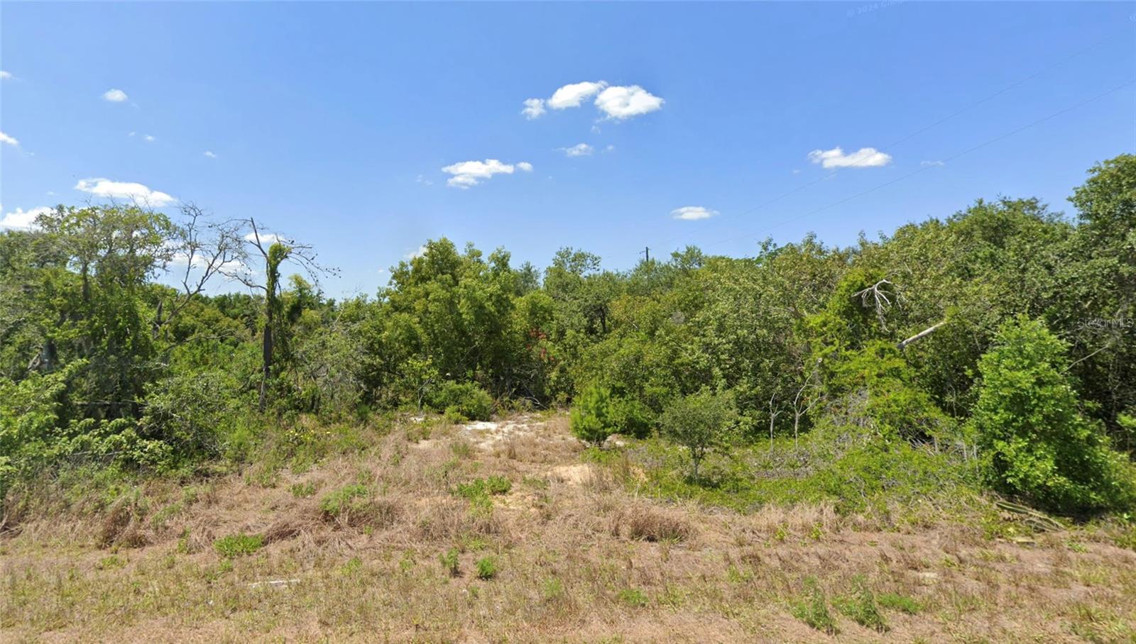 228 Hallmark Ave Property Photo