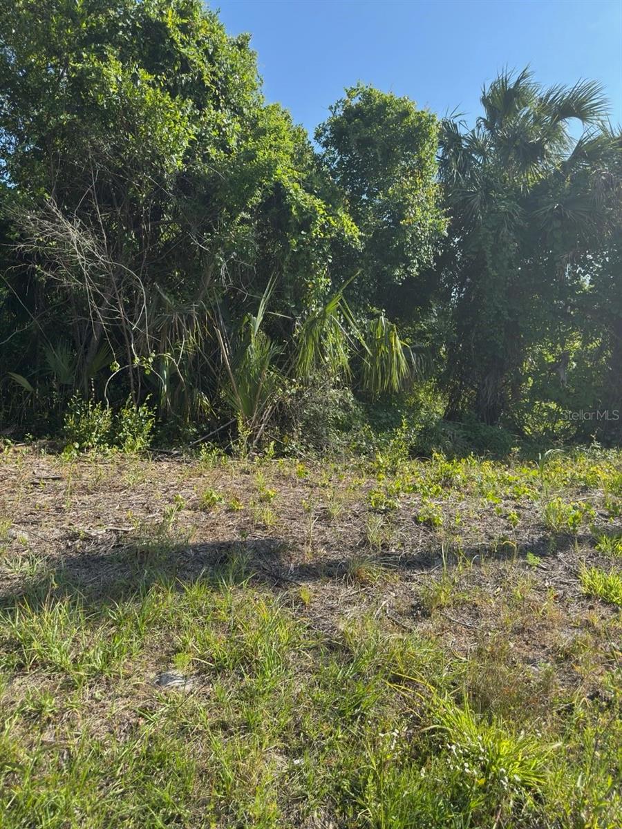 431 BIRCH BLVD Property Photo 1