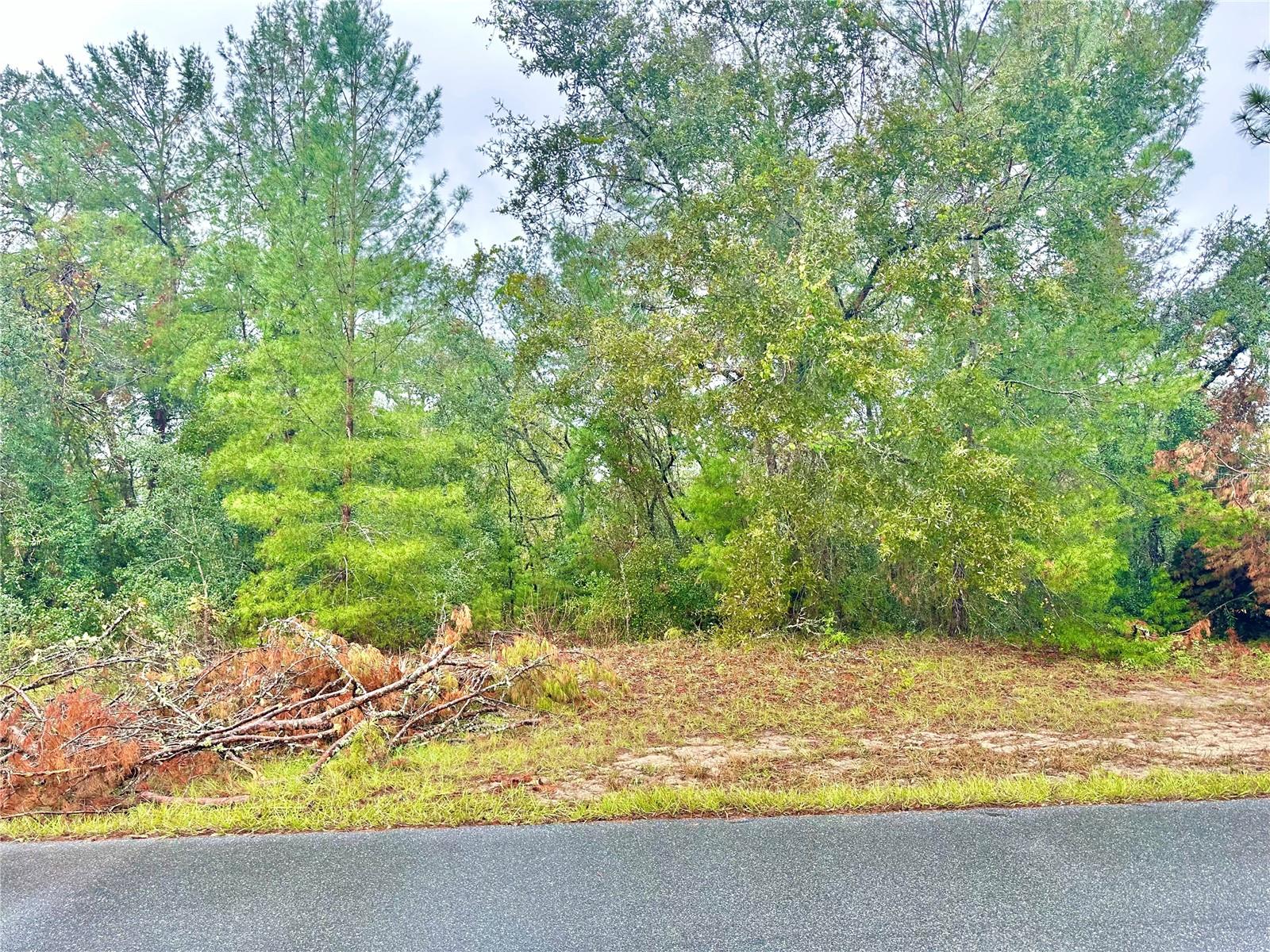 TBD SW 46TH TER #Lot 41 Property Photo 1