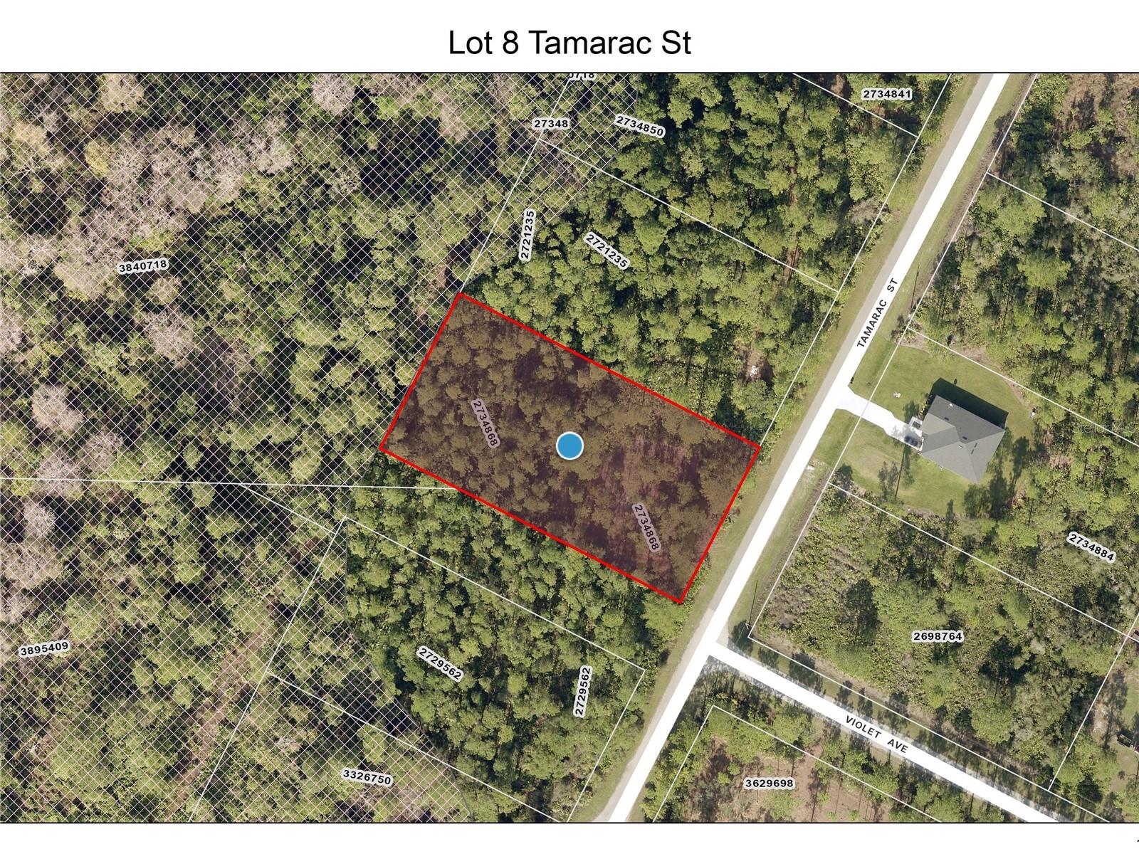 Lot 8 Tamarac St Property Photo 1