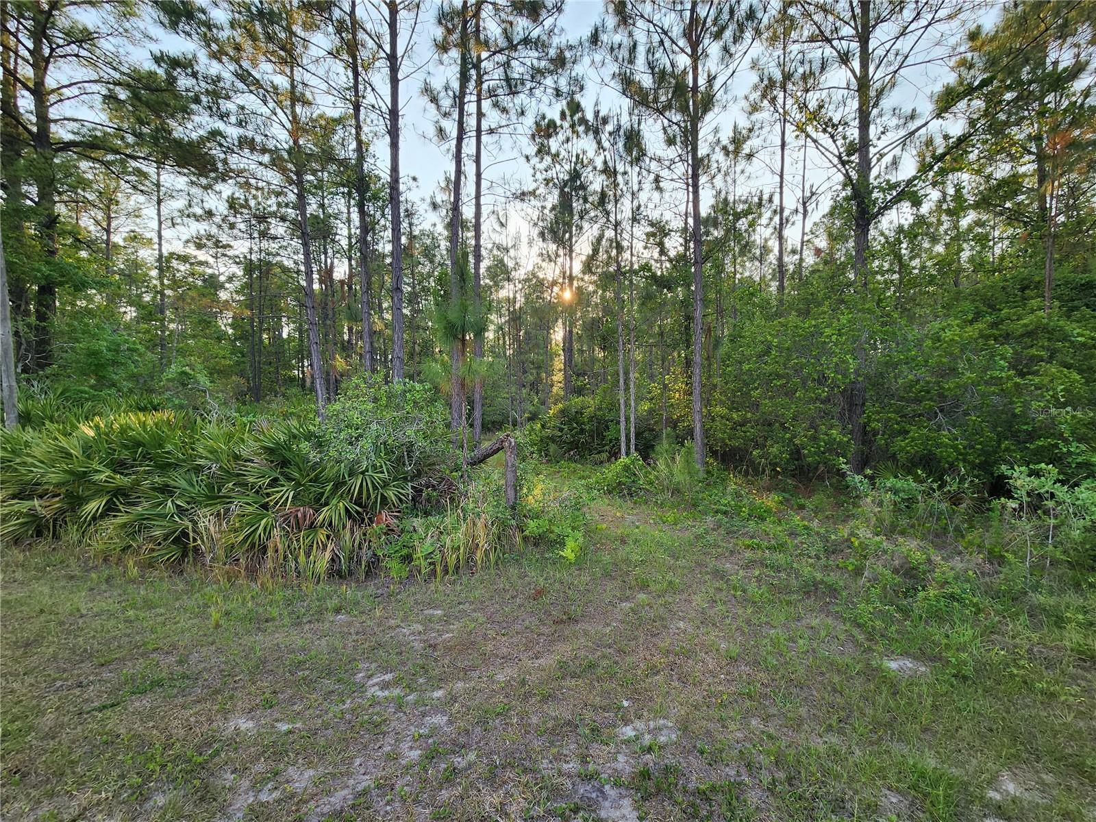 Lot 8 Tamarac St Property Photo 2