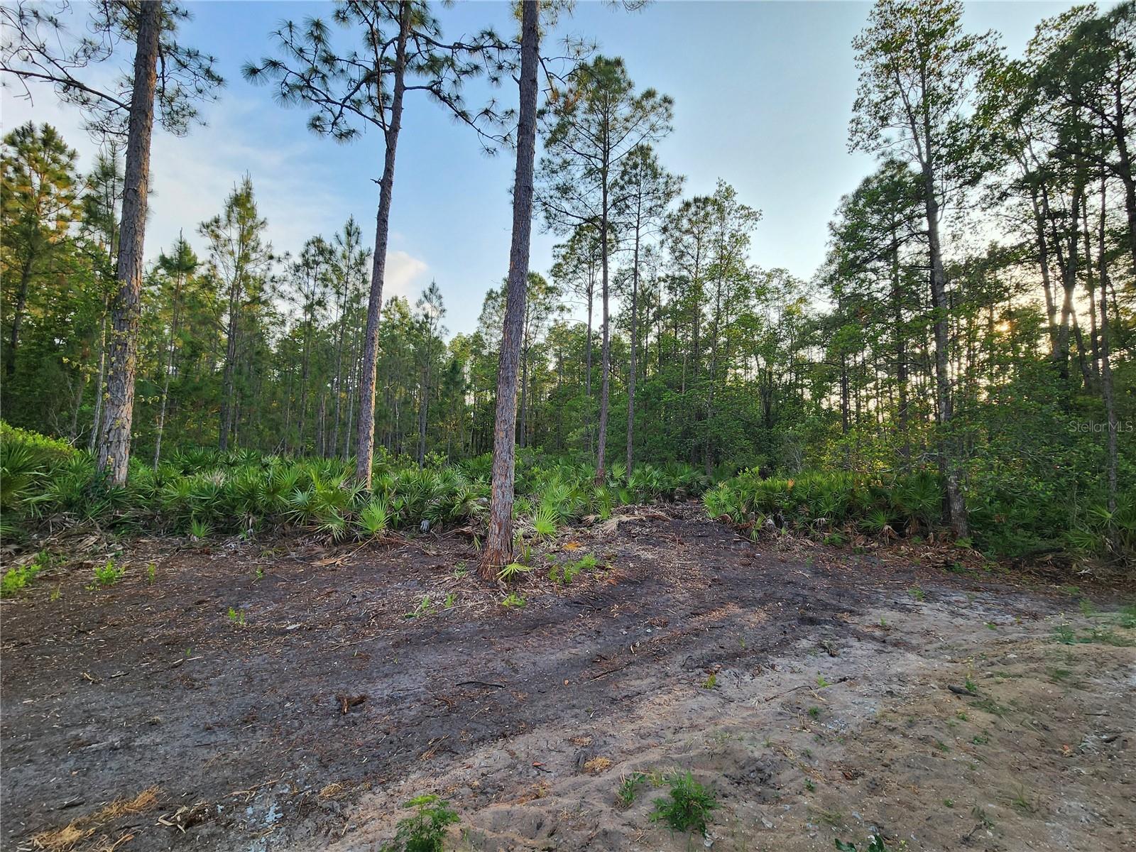 Lot 8 Tamarac St Property Photo 3