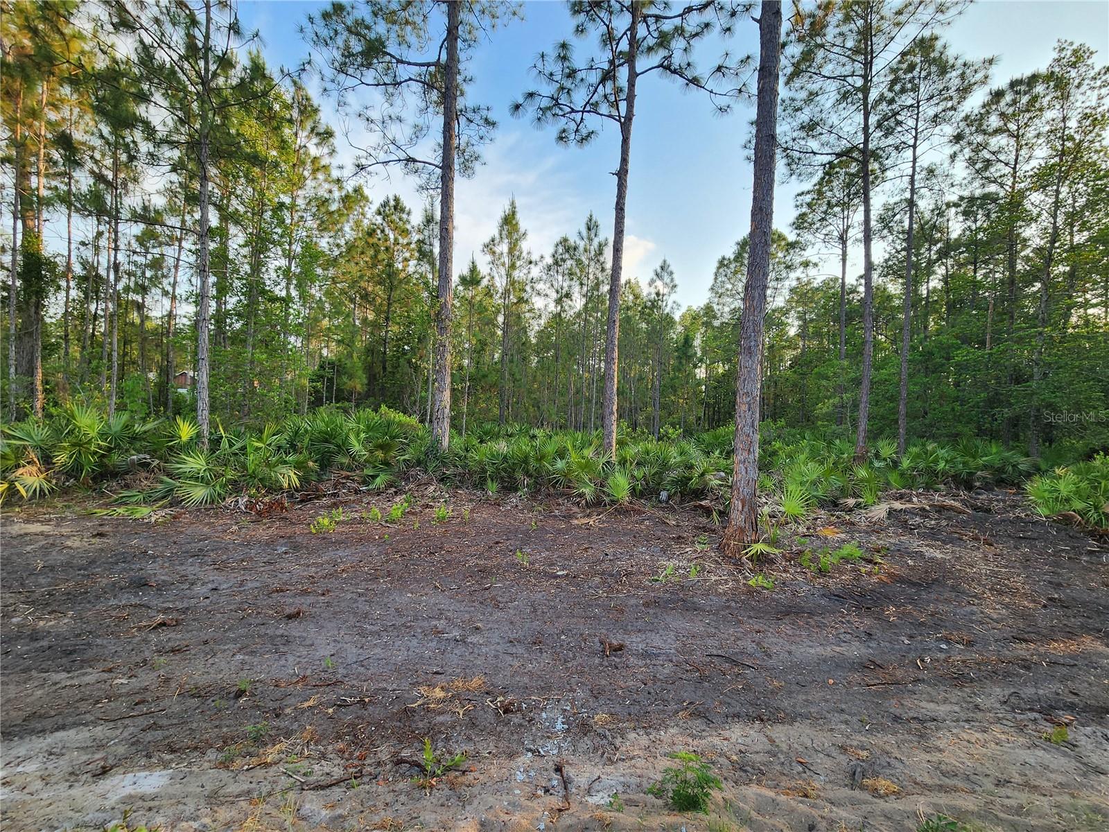 Lot 8 Tamarac St Property Photo 4