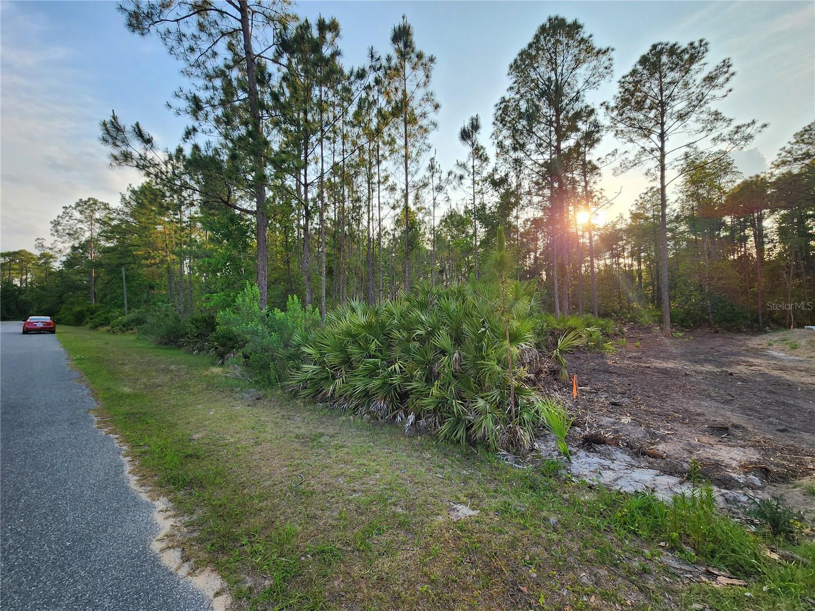 Lot 8 Tamarac St Property Photo 5