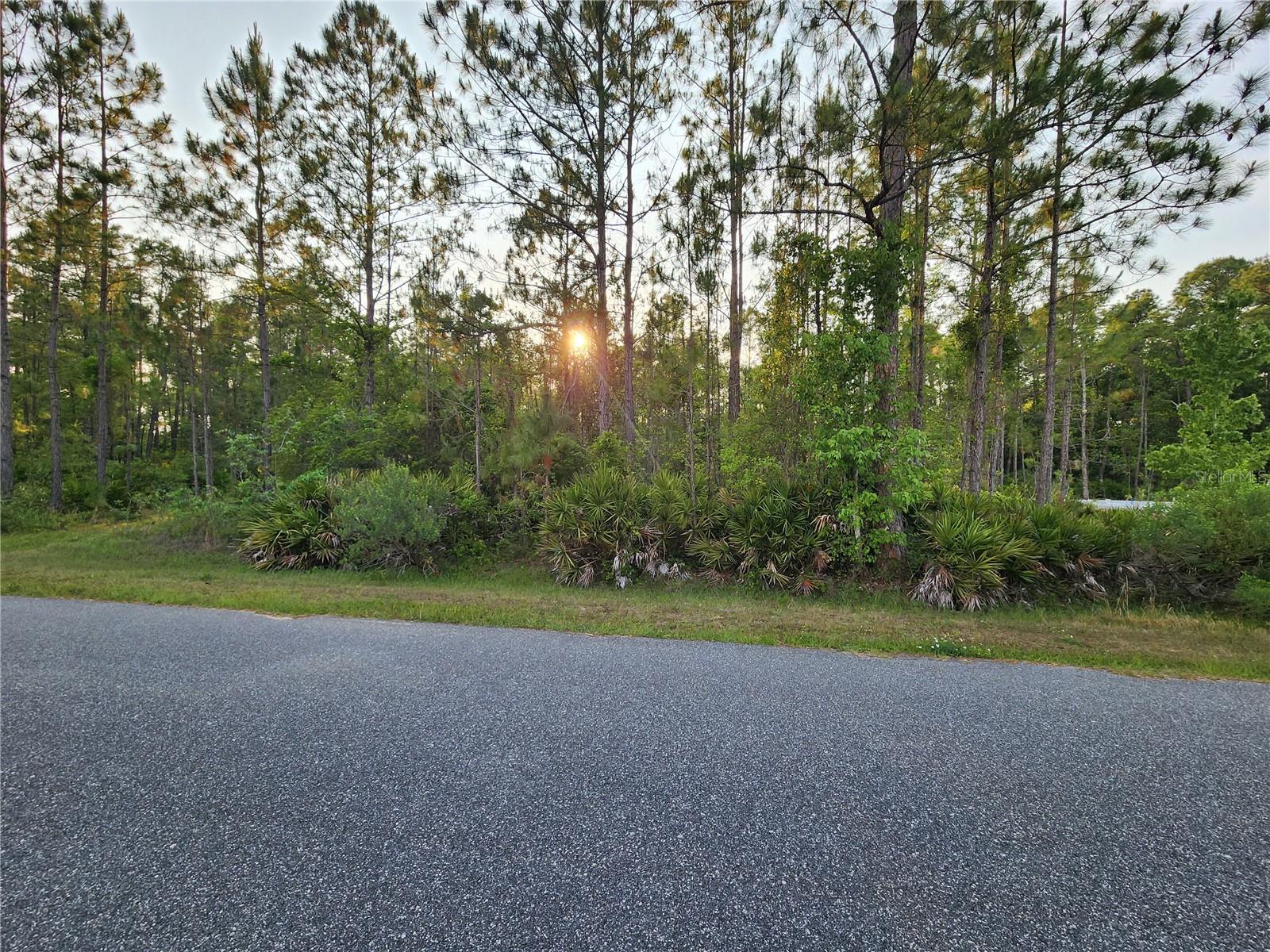 Lot 8 Tamarac St Property Photo 6
