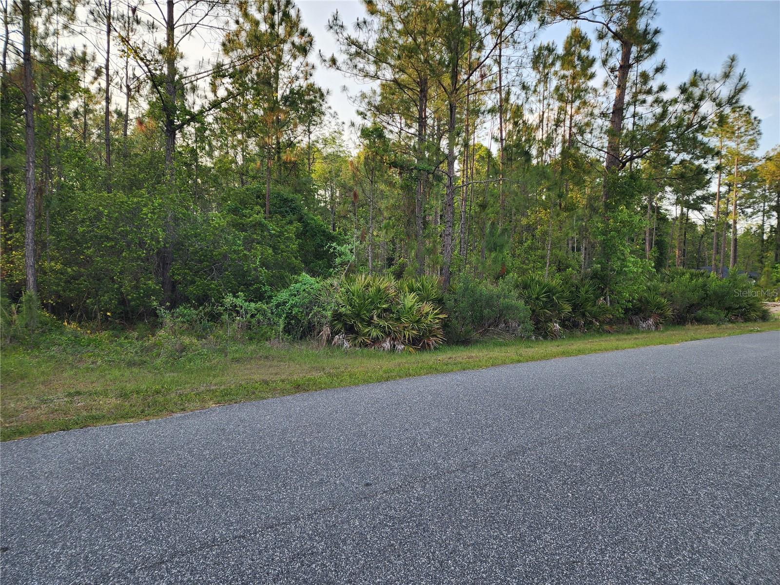 Lot 8 Tamarac St Property Photo 7