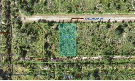 Calliandra Dr Property Photo 3
