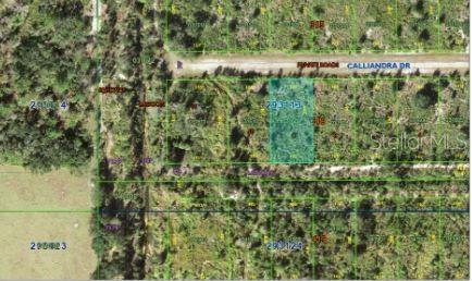 Calliandra Dr Property Photo 6