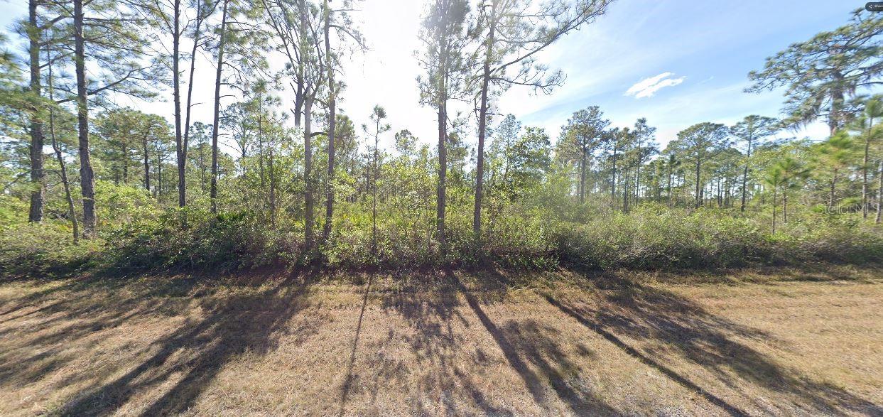 Calliandra Dr Property Photo 9